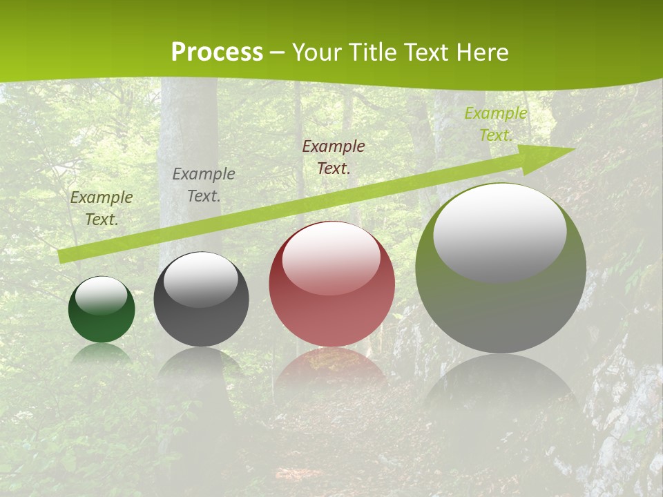 A Path In The Woods With A Green Background PowerPoint Template