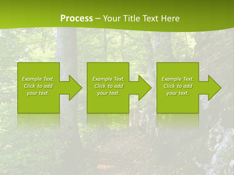 A Path In The Woods With A Green Background PowerPoint Template