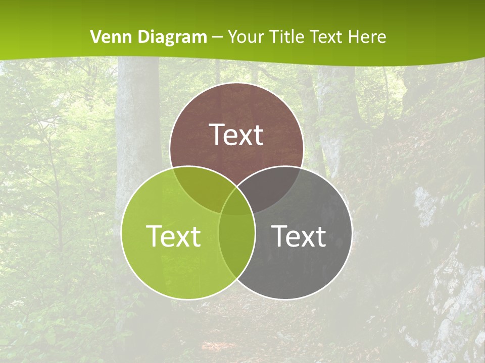 A Path In The Woods With A Green Background PowerPoint Template