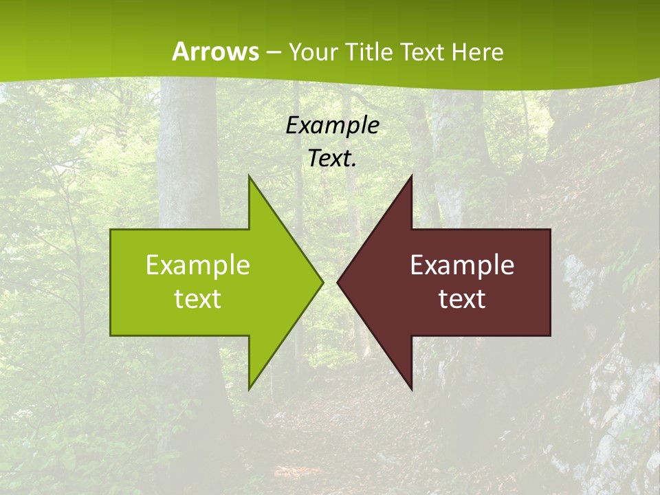 A Path In The Woods With A Green Background PowerPoint Template
