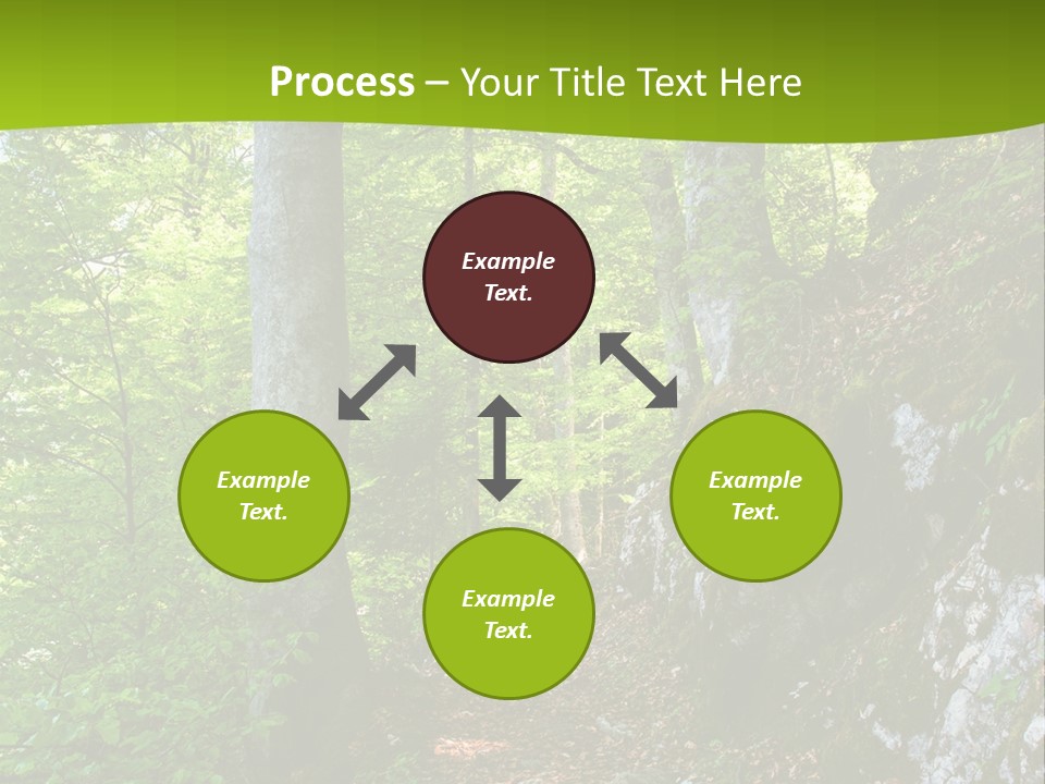 A Path In The Woods With A Green Background PowerPoint Template
