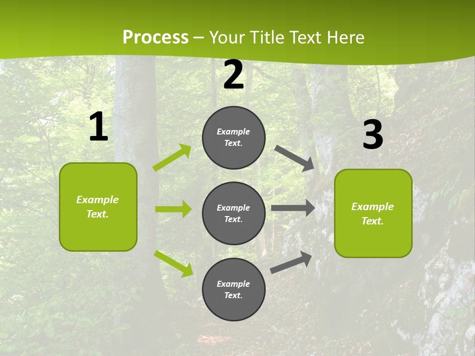 A Path In The Woods With A Green Background PowerPoint Template
