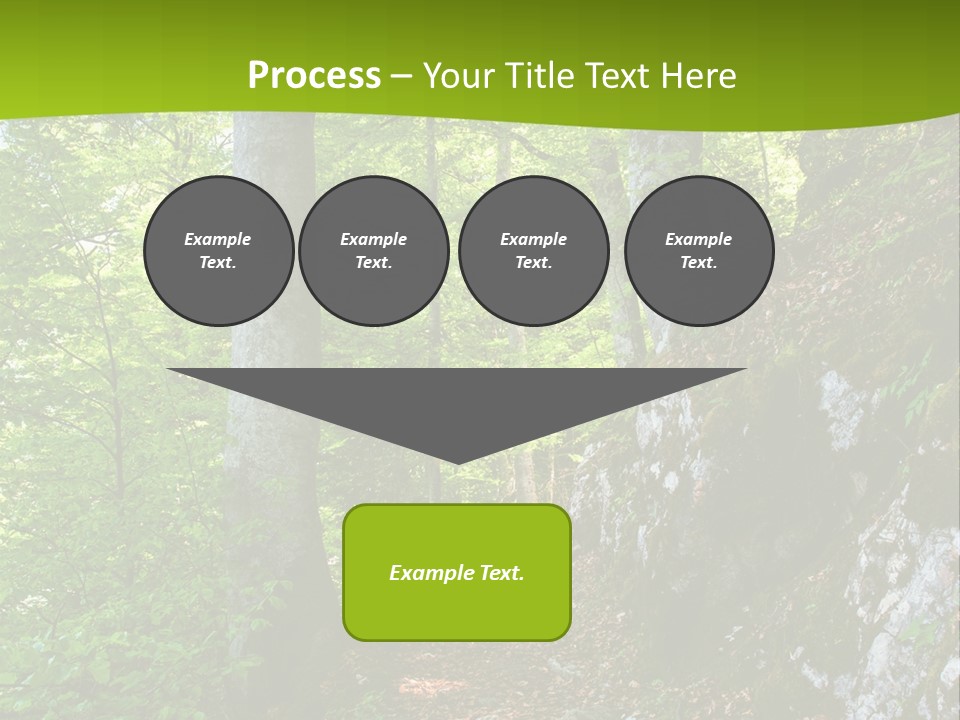 A Path In The Woods With A Green Background PowerPoint Template