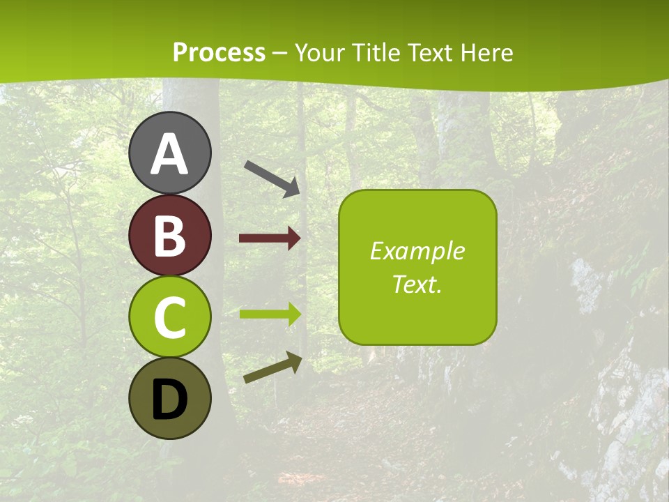 A Path In The Woods With A Green Background PowerPoint Template