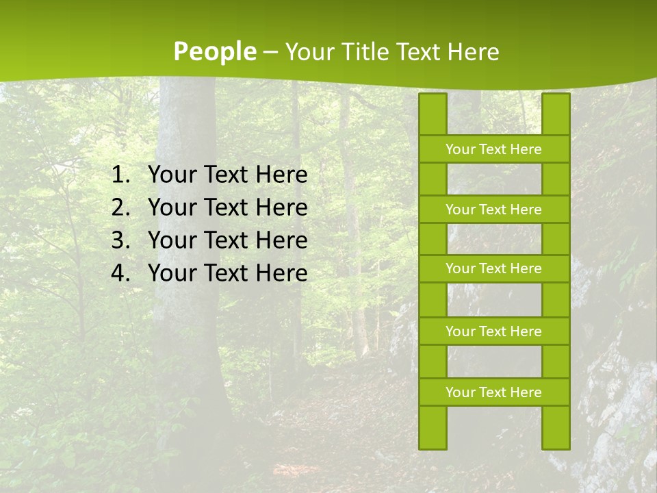 A Path In The Woods With A Green Background PowerPoint Template