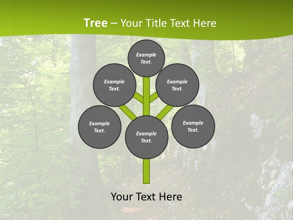 A Path In The Woods With A Green Background PowerPoint Template