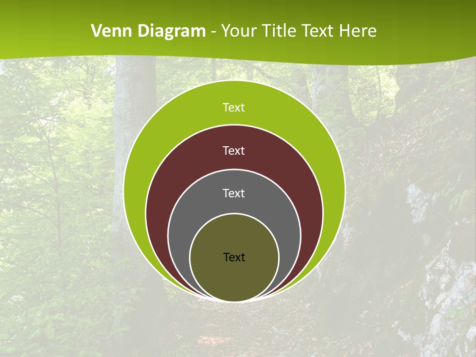 A Path In The Woods With A Green Background PowerPoint Template