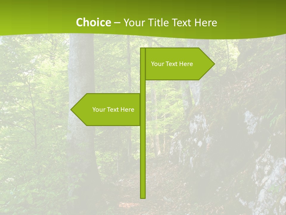 A Path In The Woods With A Green Background PowerPoint Template