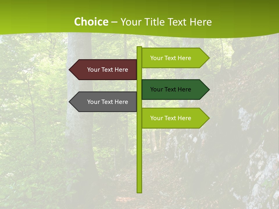 A Path In The Woods With A Green Background PowerPoint Template
