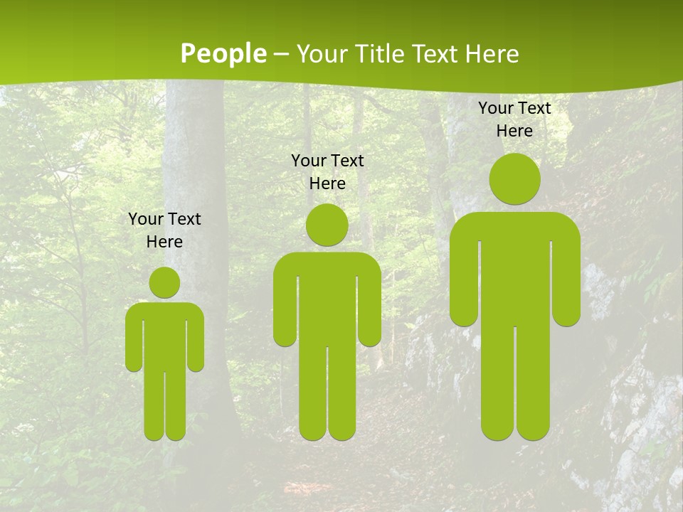 A Path In The Woods With A Green Background PowerPoint Template