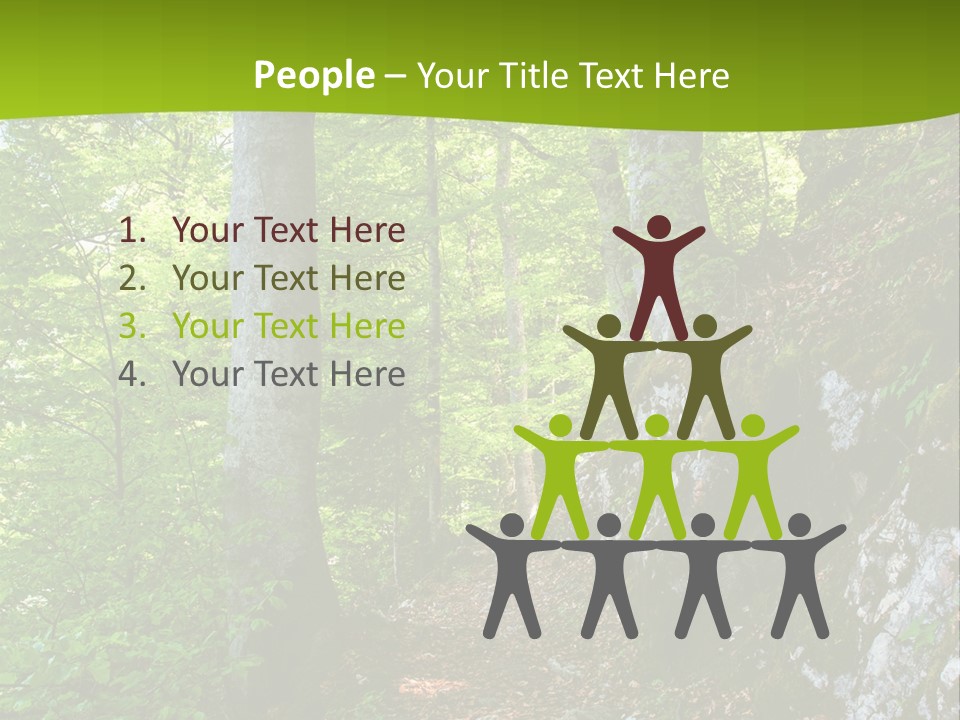 A Path In The Woods With A Green Background PowerPoint Template