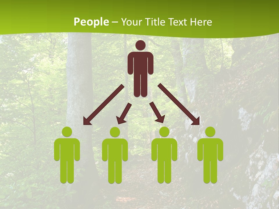 A Path In The Woods With A Green Background PowerPoint Template