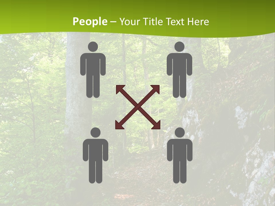 A Path In The Woods With A Green Background PowerPoint Template