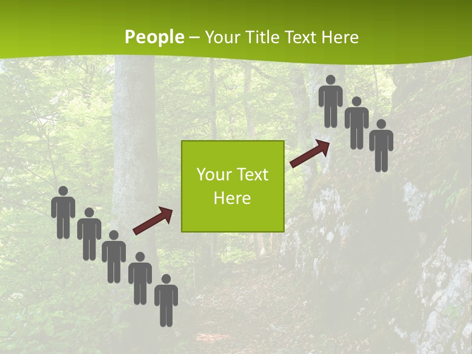 A Path In The Woods With A Green Background PowerPoint Template