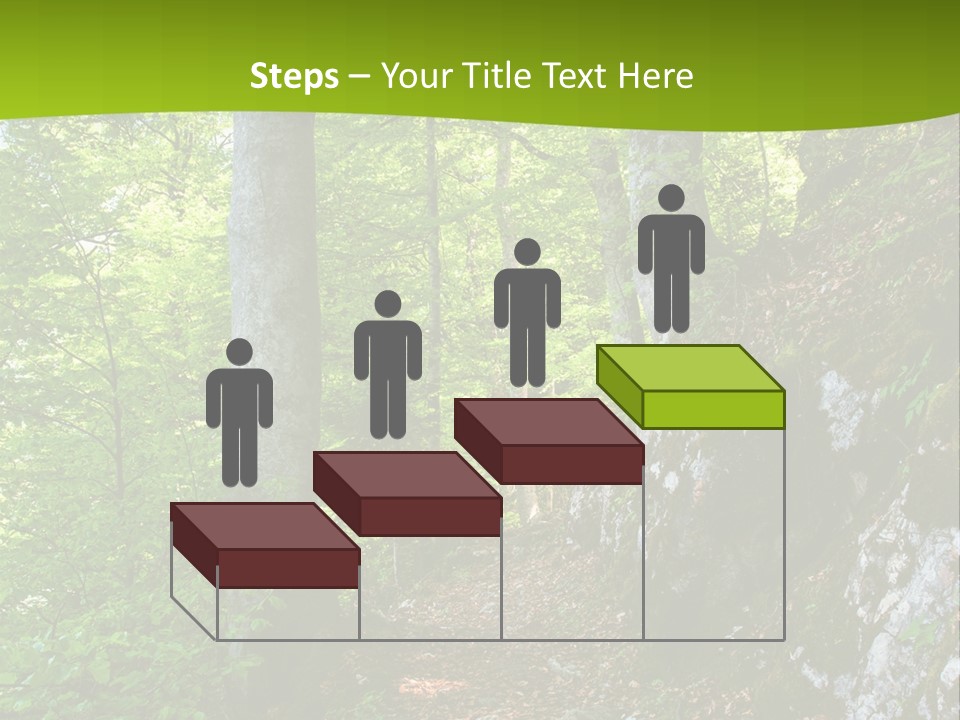 A Path In The Woods With A Green Background PowerPoint Template