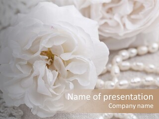 Nobody White Antique PowerPoint Template