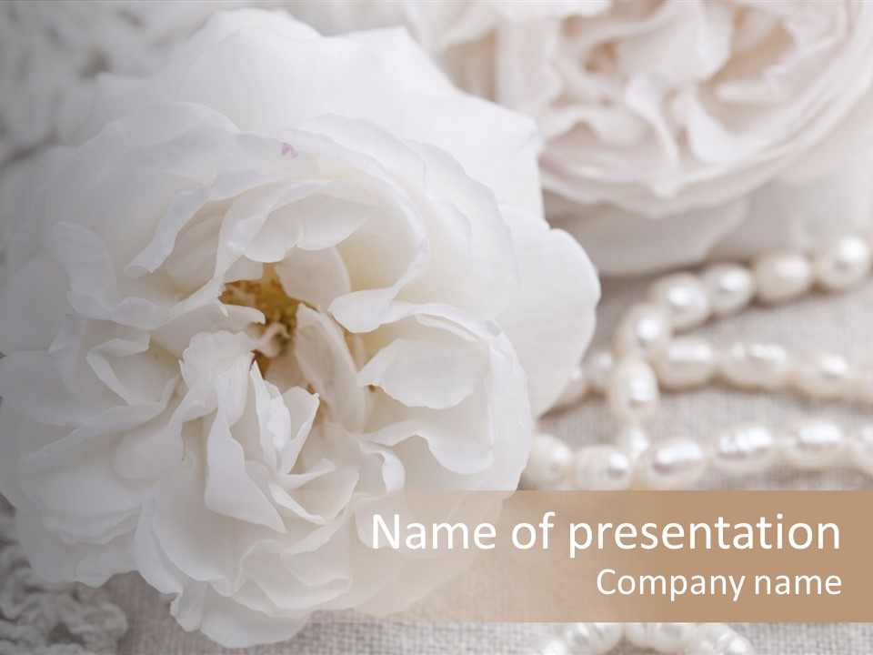 Nobody White Antique PowerPoint Template