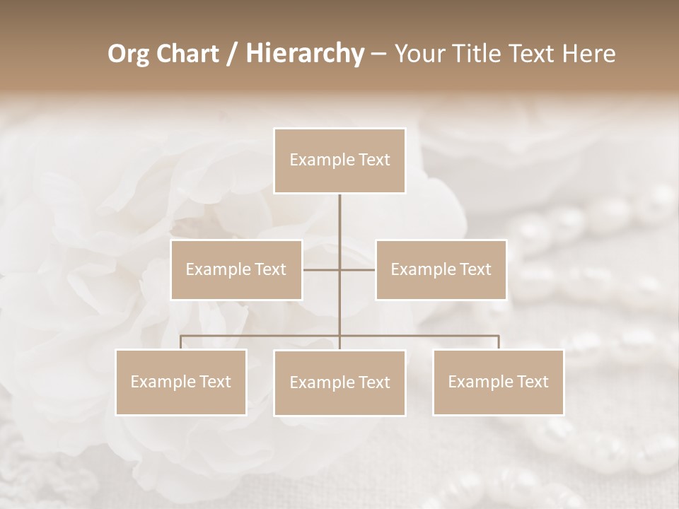 Nobody White Antique PowerPoint Template