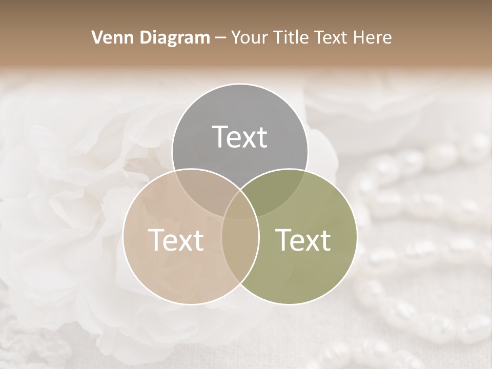 Nobody White Antique PowerPoint Template