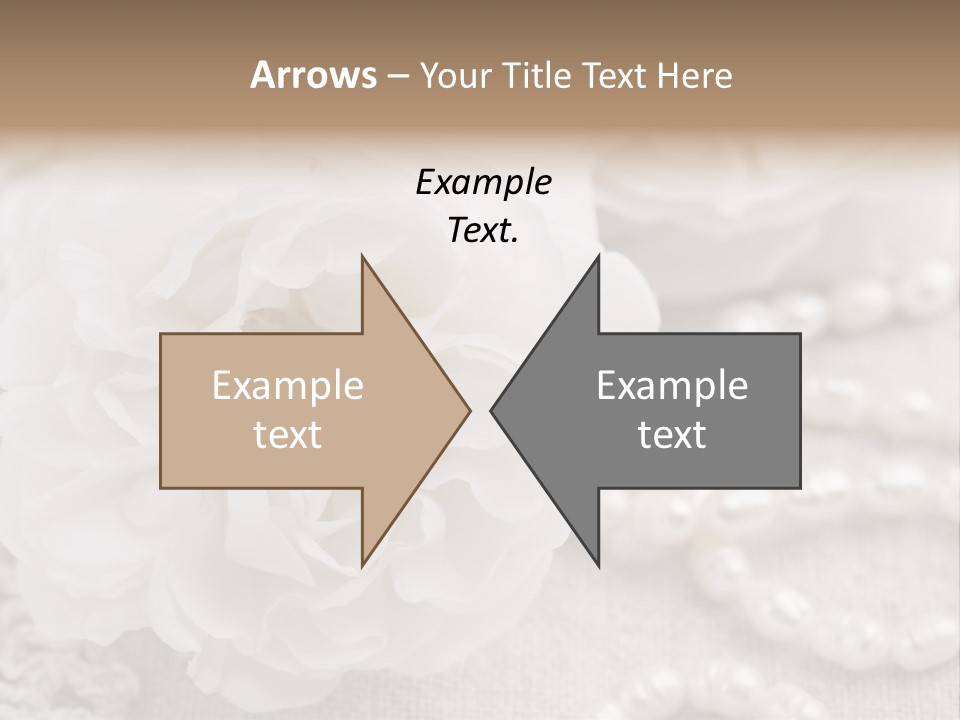 Nobody White Antique PowerPoint Template