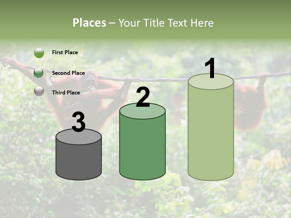 Orangutan Borneo Ape PowerPoint Template