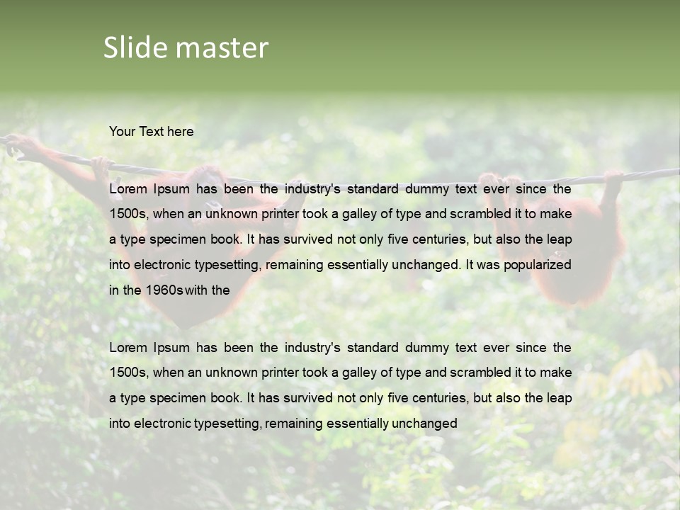 Orangutan Borneo Ape PowerPoint Template