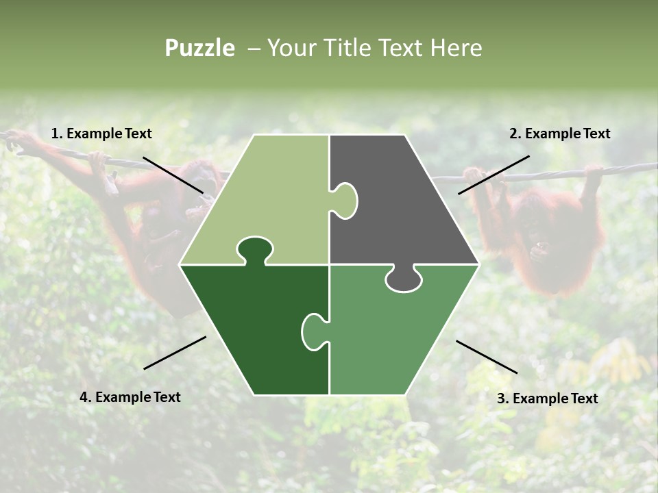 Orangutan Borneo Ape PowerPoint Template