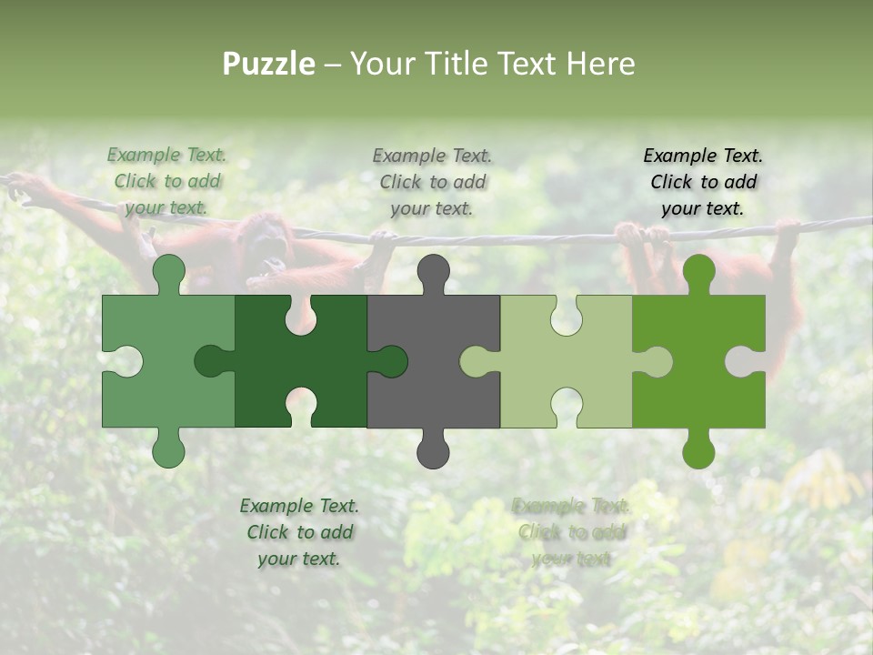 Orangutan Borneo Ape PowerPoint Template