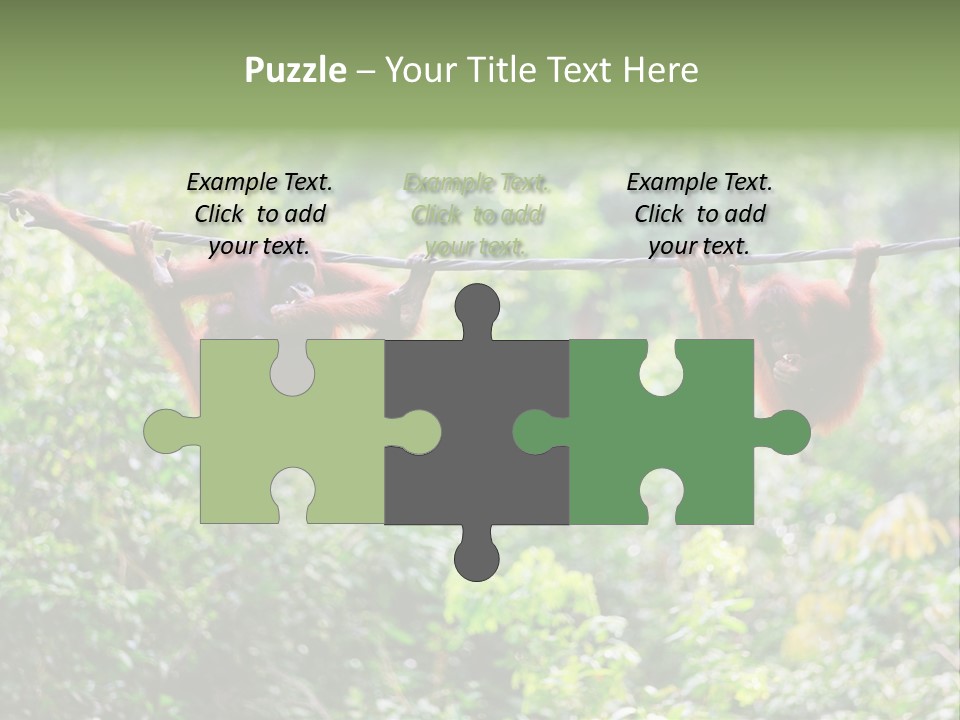 Orangutan Borneo Ape PowerPoint Template