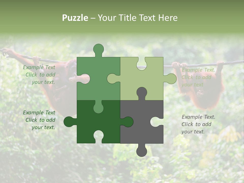 Orangutan Borneo Ape PowerPoint Template