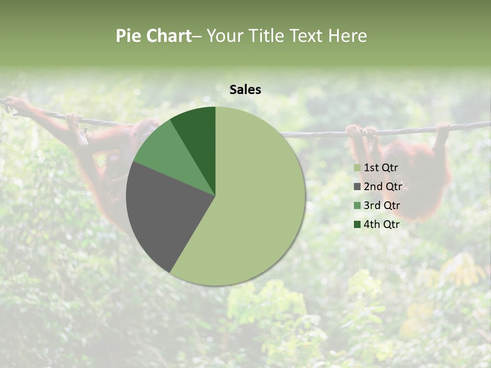 Orangutan Borneo Ape PowerPoint Template