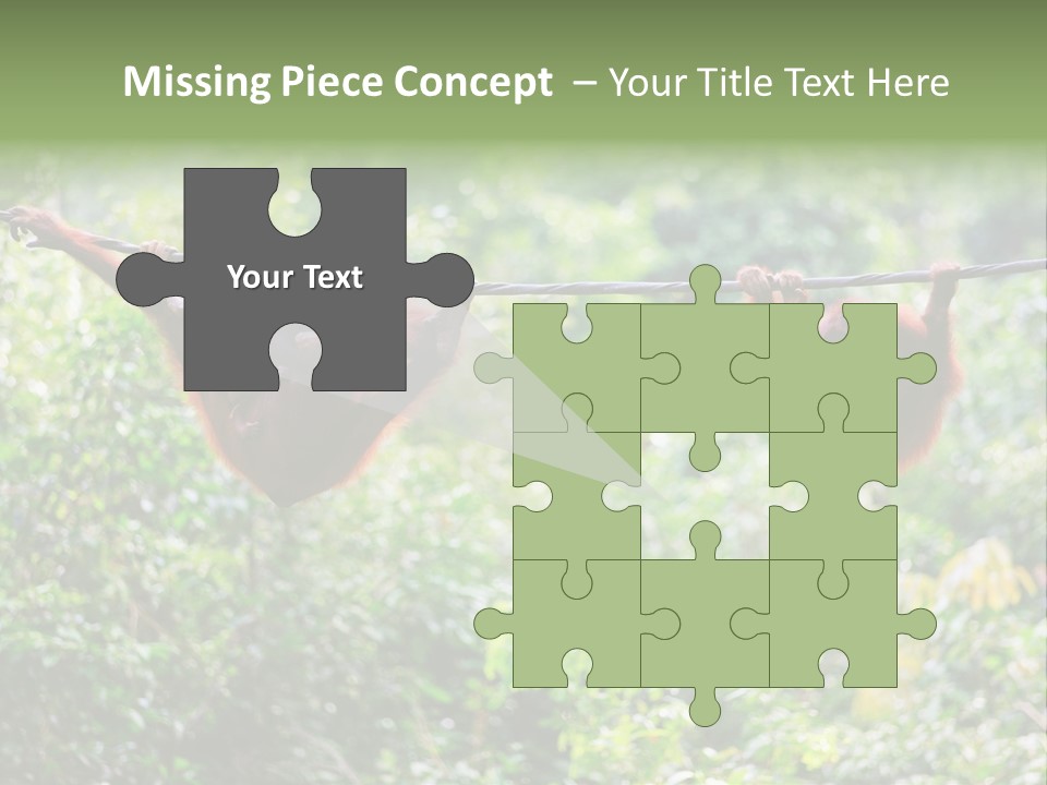 Orangutan Borneo Ape PowerPoint Template