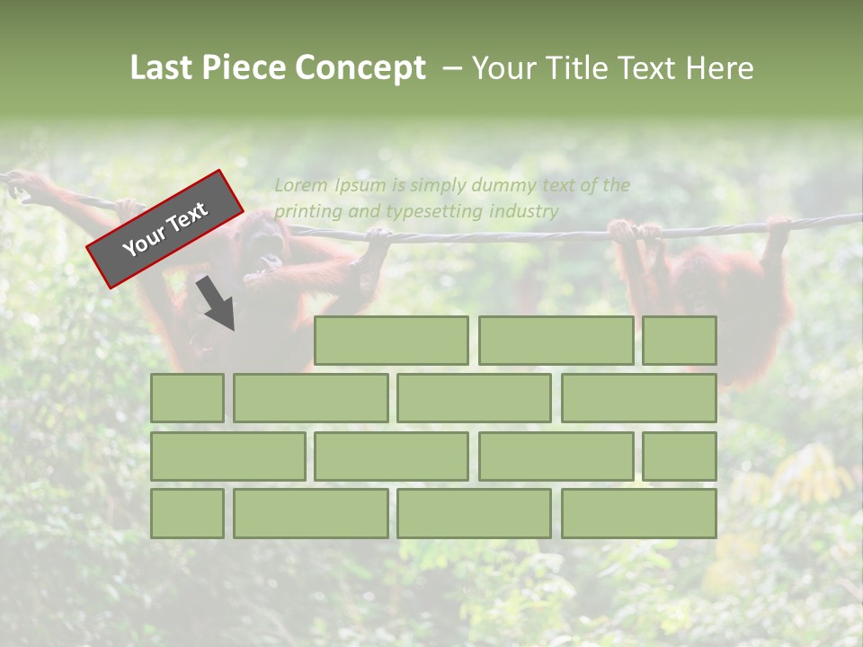 Orangutan Borneo Ape PowerPoint Template