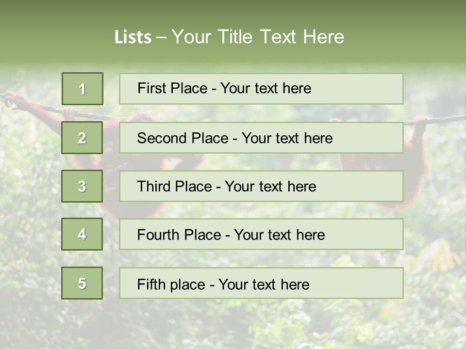 Orangutan Borneo Ape PowerPoint Template