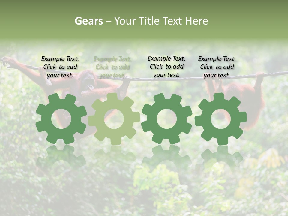 Orangutan Borneo Ape PowerPoint Template