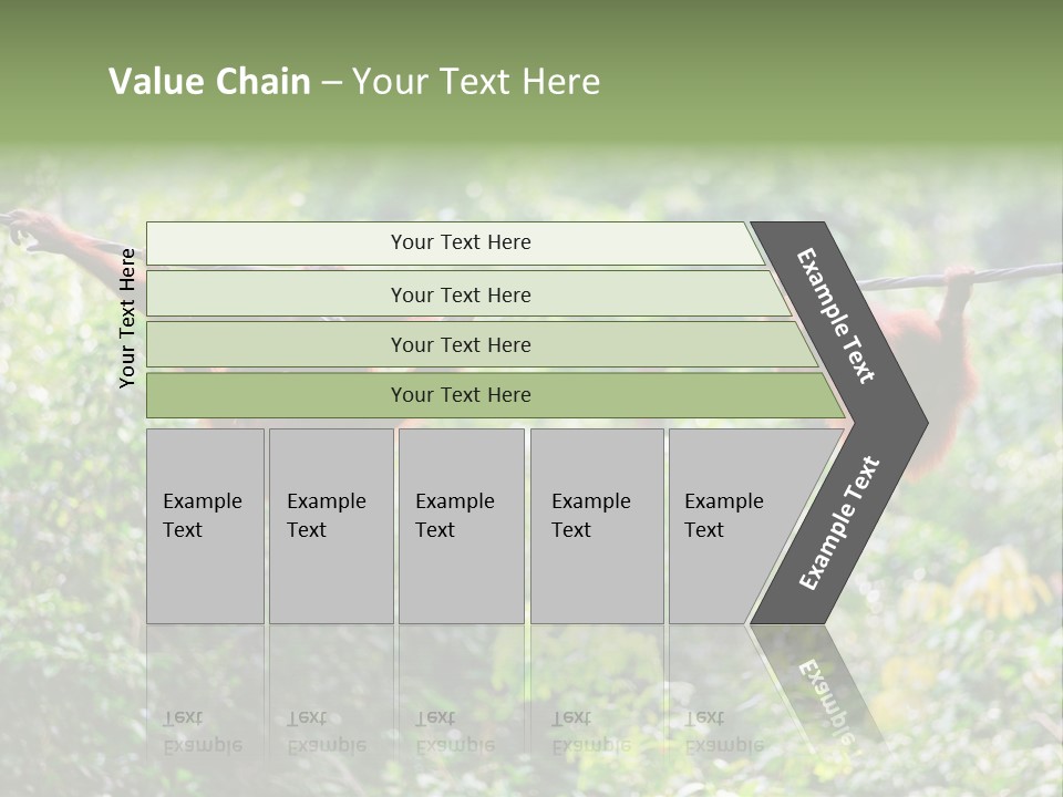 Orangutan Borneo Ape PowerPoint Template