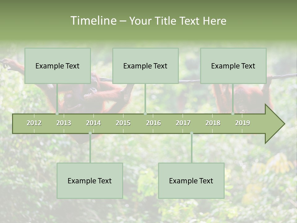 Orangutan Borneo Ape PowerPoint Template
