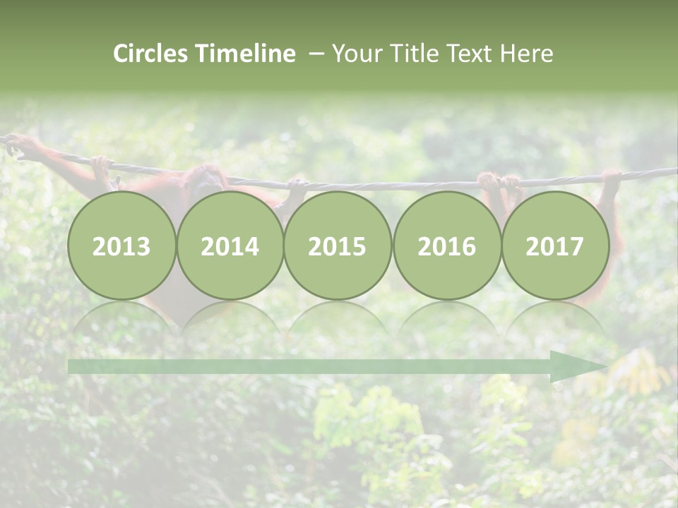 Orangutan Borneo Ape PowerPoint Template