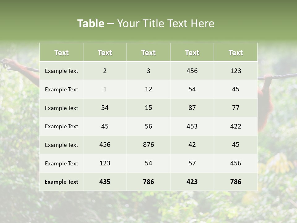 Orangutan Borneo Ape PowerPoint Template