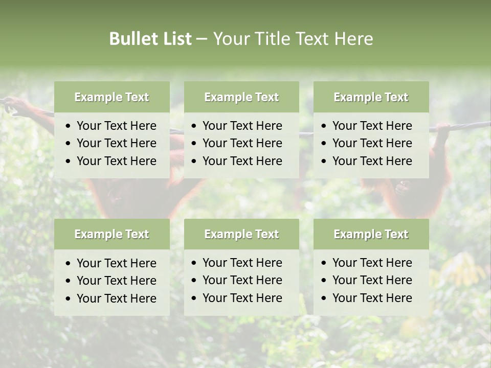 Orangutan Borneo Ape PowerPoint Template