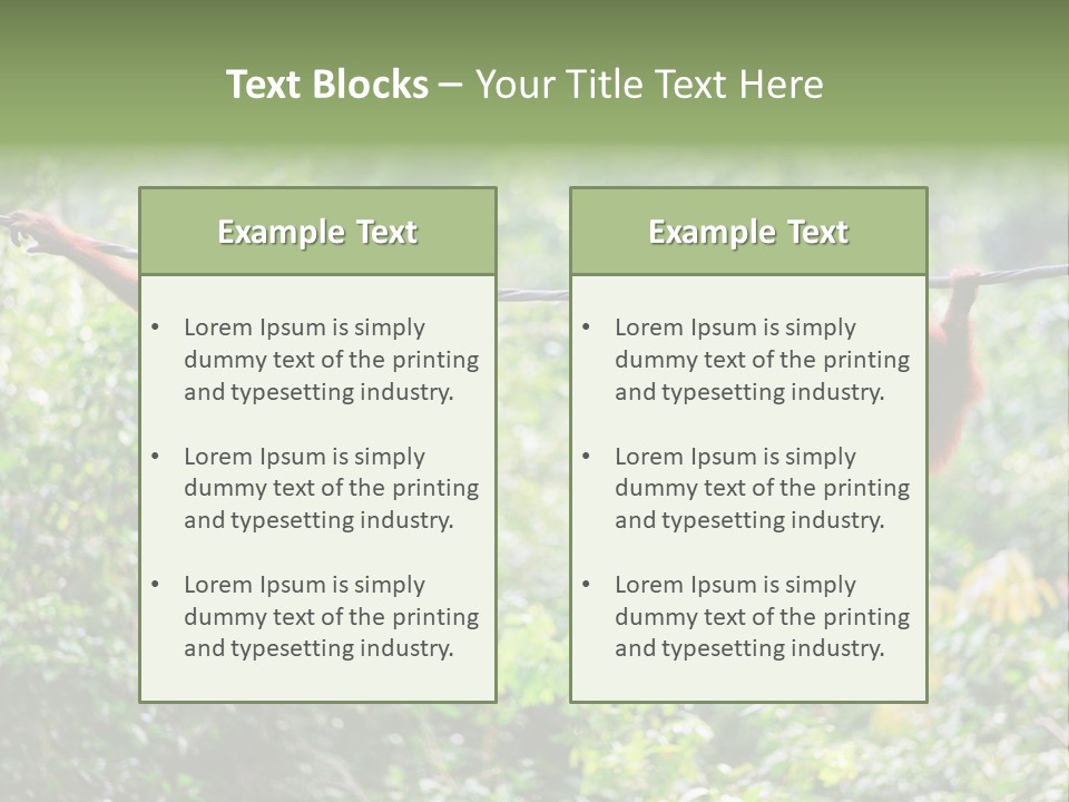 Orangutan Borneo Ape PowerPoint Template