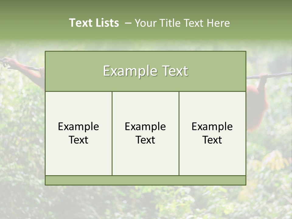 Orangutan Borneo Ape PowerPoint Template