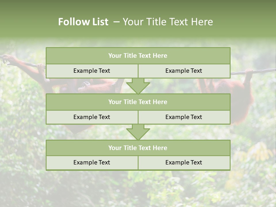 Orangutan Borneo Ape PowerPoint Template