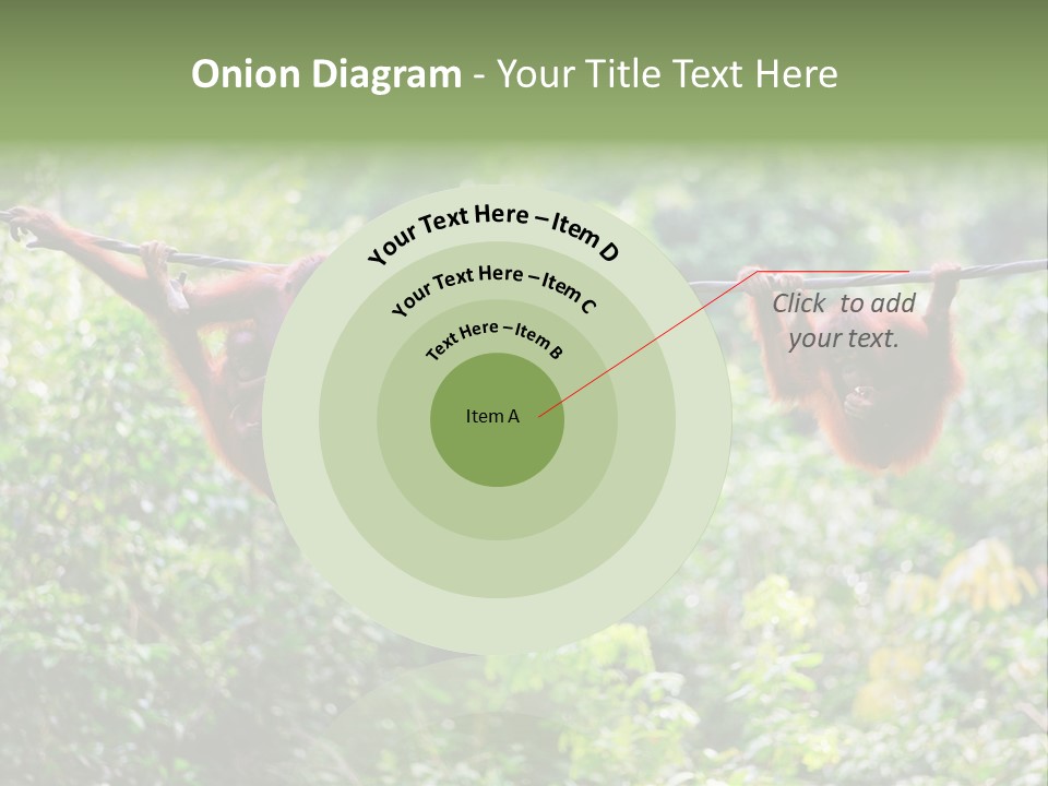 Orangutan Borneo Ape PowerPoint Template