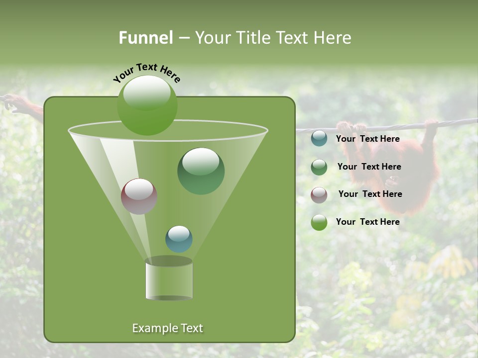 Orangutan Borneo Ape PowerPoint Template