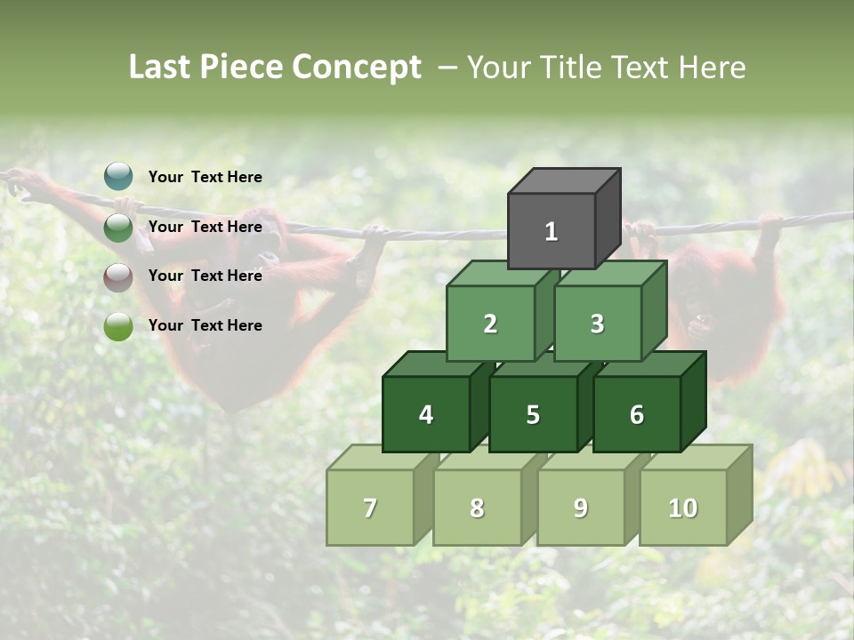 Orangutan Borneo Ape PowerPoint Template