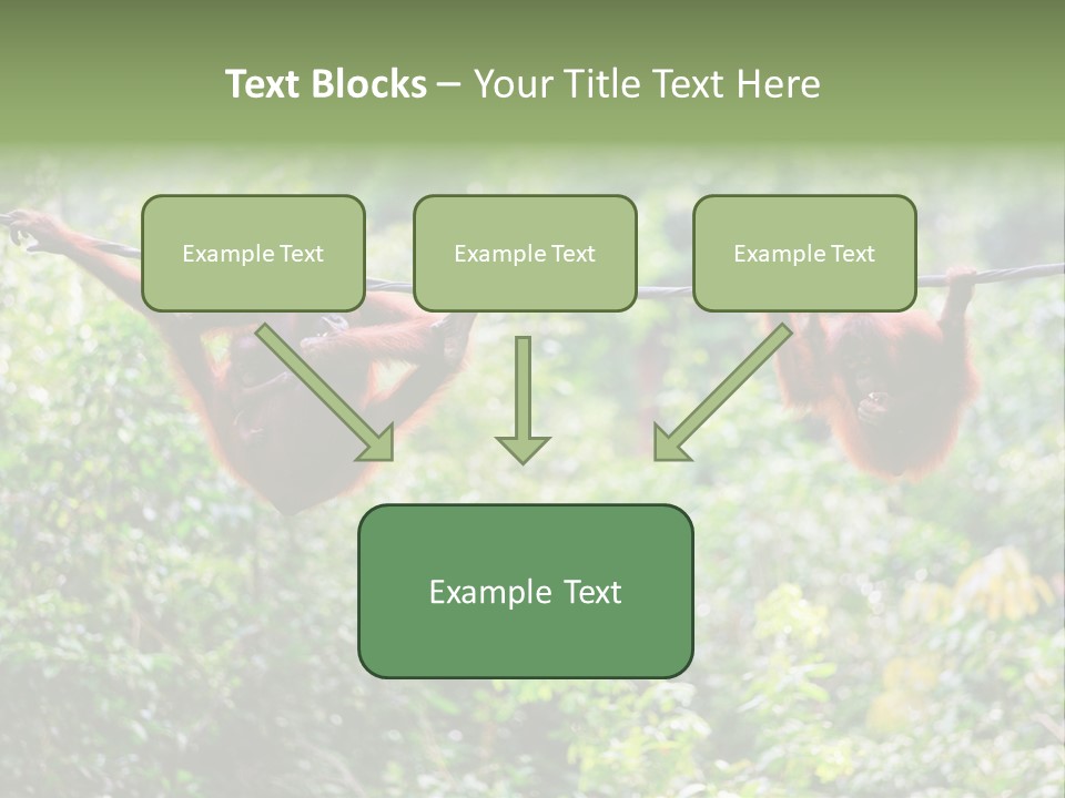Orangutan Borneo Ape PowerPoint Template