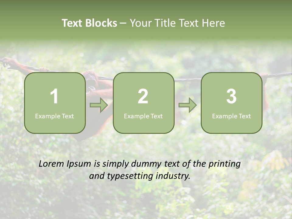 Orangutan Borneo Ape PowerPoint Template