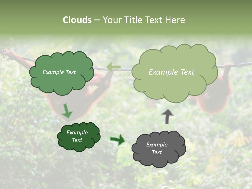 Orangutan Borneo Ape PowerPoint Template