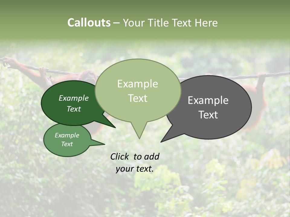 Orangutan Borneo Ape PowerPoint Template